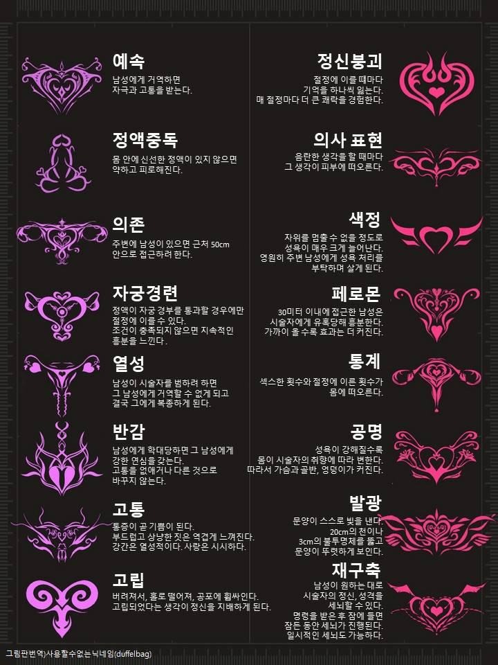 서큐버스 문신이란? 음문 자궁 문신 뜻, 의미, 이유, 종류, 디자인 알아보기